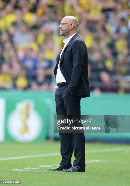 Dortmund's manager Peter Bosz stands on the touchline during the German Soccer Association Cup first-round soccer match between 1. FC...