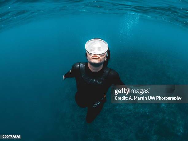 free diving - free diving stock pictures, royalty-free photos & images