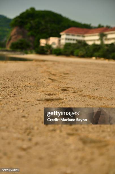 sea shore with foot path - mariano stock pictures, royalty-free photos & images