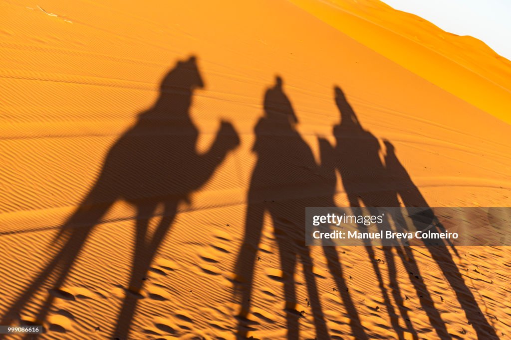 Adventure in Sahara desert