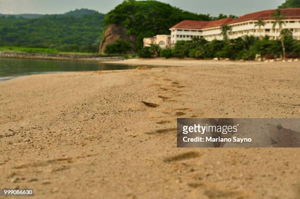 sea shore with foot path - mariano stock pictures, royalty-free photos & images
