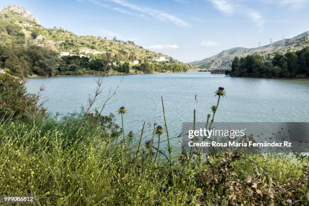 view of guadalhorce river at the ending  of the king's little pathway (caminito del rey), málaga, andalusia, spain. - rz stock pictures, royalty-free photos & images