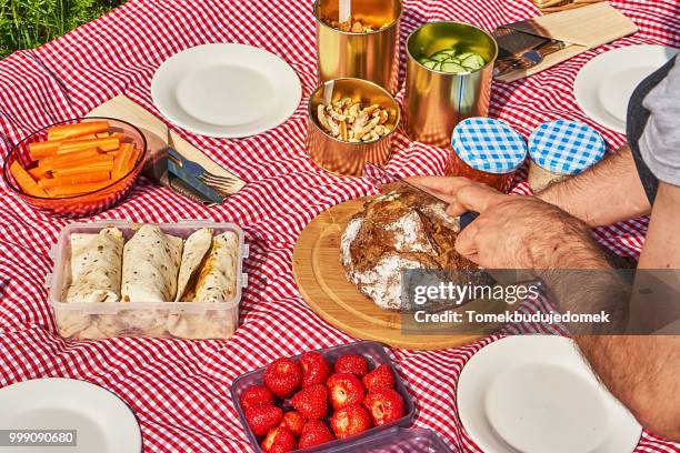 picnic - tortilla dish stock pictures, royalty-free photos & images