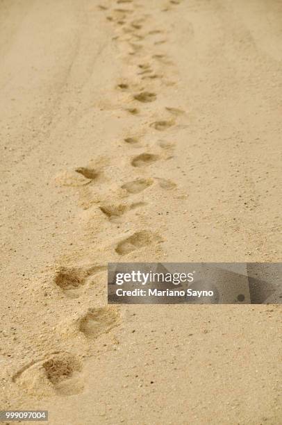 sea shore with foot path - mariano stock pictures, royalty-free photos & images