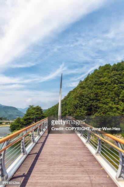 sustaining ropes of pedestrians' bridge over the river - jong won heo stock pictures, royalty-free photos & images