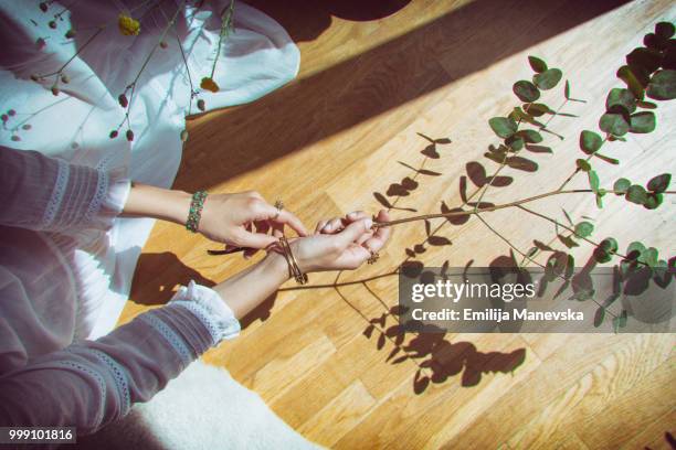 woman holding plant - emilija manevska stock-fotos und bilder