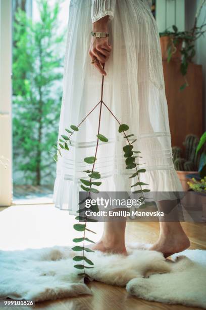 woman holding plant - emilija manevska stock-fotos und bilder