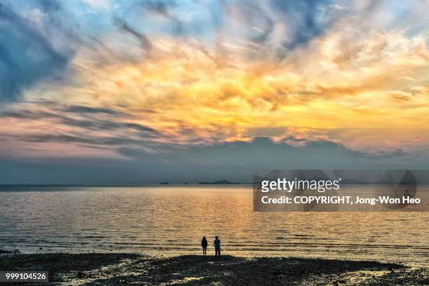 a couple at the water's edge under the sunset - jong stock pictures, royalty-free photos & images