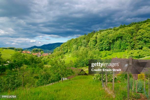 early summer landscape in sasbach-walden in the black forest, baden-wuerttemberg, germany - walden stock pictures, royalty-free photos & images