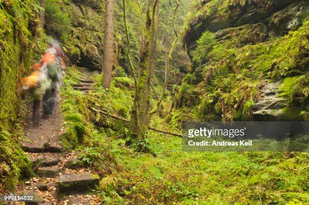hikers in the teufelsgrund gorge, autumn, saxon switzerland, saxony, germany - reserve athlete - fotografias e filmes do acervo