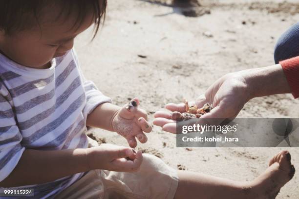 ragazzo e nonna che giocano in spiaggia - kohei hara foto e immagini stock