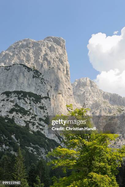 mt totenkirchl, mt wilder kaiser, tyrol, austria - wilder stockfoto's en -beelden