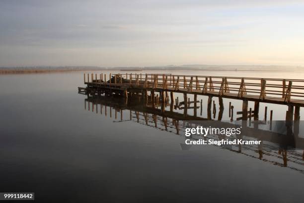 lake federsee, boardwalk, morning mood, reflection, nature reserve, biberach district, upper swabia, baden-wuerttemberg, germany - paradise jam stock pictures, royalty-free photos & images