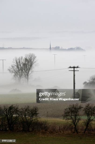 ground fog over franconian landscape, bavaria, germany - biological process imagens e fotografias de stock