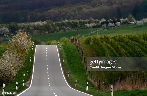 country road, thuringia, germany - 正中神経 ストックフォトと画像