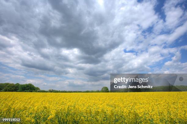 Germany Rapa 26 Rapa River Stock Photos, High-Res Pictures, and Images - Getty Images