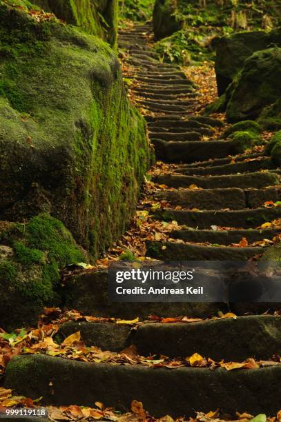 stone staircase in uttewalder grund, autumn, saxon switzerland, saxony, germany - grund stock pictures, royalty-free photos & images