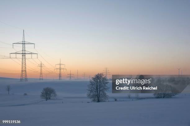 winter landscape with power poles at remptendorf, thuringia, germany - biological process imagens e fotografias de stock