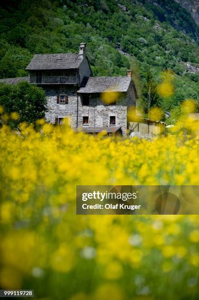 house in sonogno, valle verzasca valley, canton ticino, switzerland - ticino canton 個照片及圖片檔