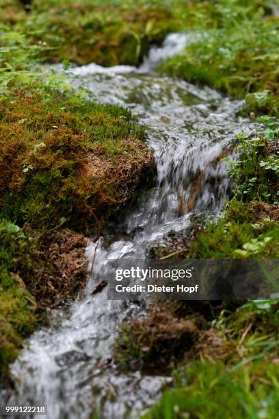 stream flowing over tufa, allgaeu, bavaria, germany - dieter bach stock-fotos und bilder