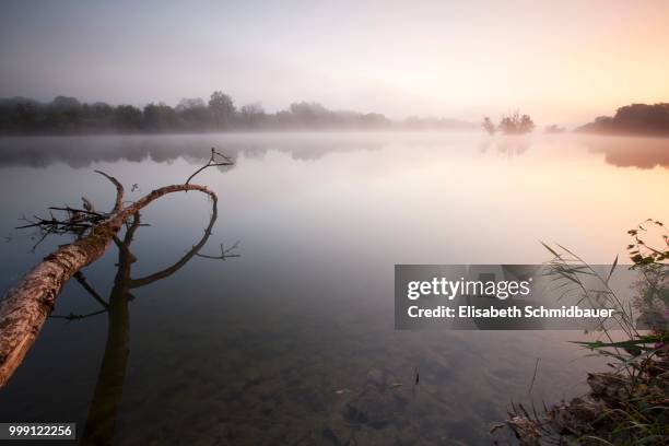 fog on the danube, ingolstadt, bavaria, germany - contre jour stock-fotos und bilder