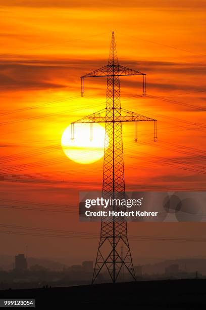 electric power transmission lines, electricity pylon, with the setting sun, beinstein near stuttgart, baden-wuerttemberg, germany - biological process foto e immagini stock