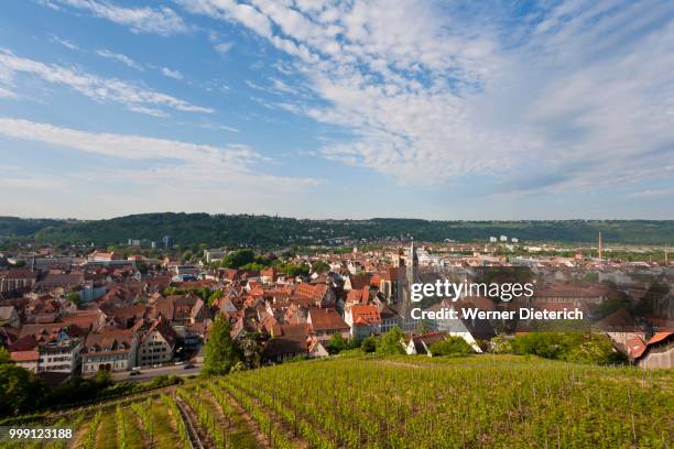 view from the castle at esslingen over a vineyard, viticulture, baden-wuerttemberg, germany - esslingen am neckar stock-fotos und bilder