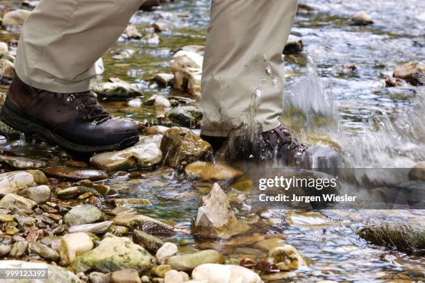 a hiker walking through the shallow wutach river in the black forest, baden-wuerttemberg, germany - reserve athlete - fotografias e filmes do acervo