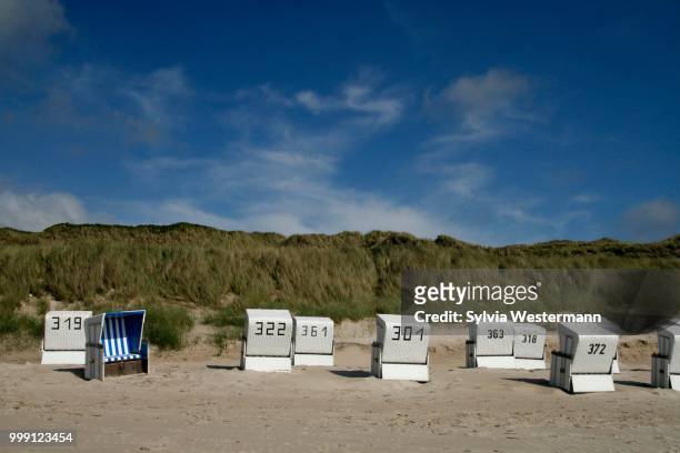 dunes and roofed wicker beach chairs, sylt, northern friesland, north frisia, schleswig-holstein, germany - holstein friesian stockfoto's en -beelden