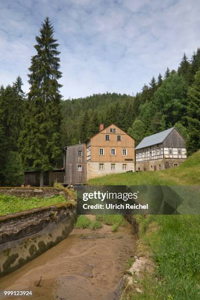 niedermuehle mill in the kirnitzschtal valley, hintere saechsische schweiz, saxon switzerland, saxony, germany - schweiz 個照片及圖片檔