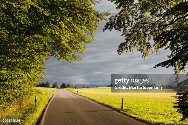 highway near peretshofen, dietramszell municipality, upper bavaria, bavaria, germany, publicground - dietramszell stock pictures, royalty-free photos & images