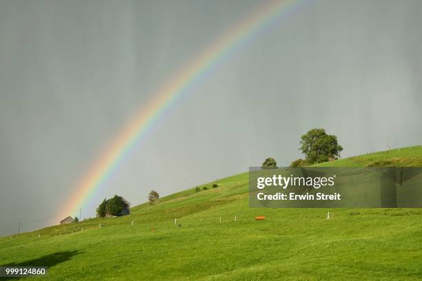 rainbow in neckertal region, toggenburg, canton of st. gallen, switzerland - st gallen canton bildbanksfoton och bilder