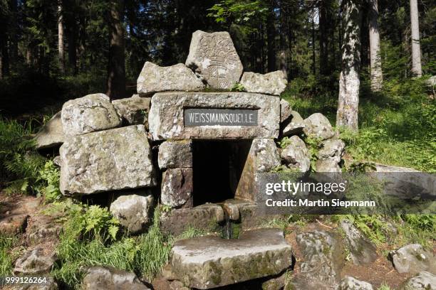 weissmain source, ochsenkopf mountain, fichtelgebirge mountain range, upper franconia, franconia, bavaria, germany, publicground - upper franconia - fotografias e filmes do acervo