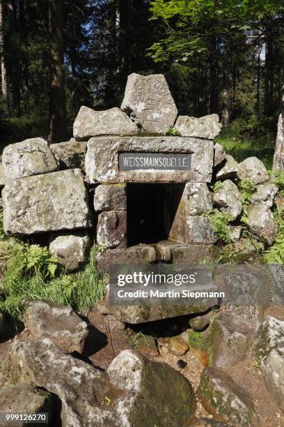 weissmain source, ochsenkopf mountain, fichtelgebirge mountain range, upper franconia, franconia, bavaria, germany, publicground - upper franconia - fotografias e filmes do acervo