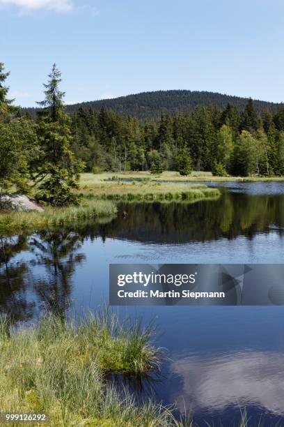 lake fichtelsee near fichtelberg, fichtelgebirge mountain range, upper franconia, franconia, bavaria, germany, publicground - upper franconia - fotografias e filmes do acervo