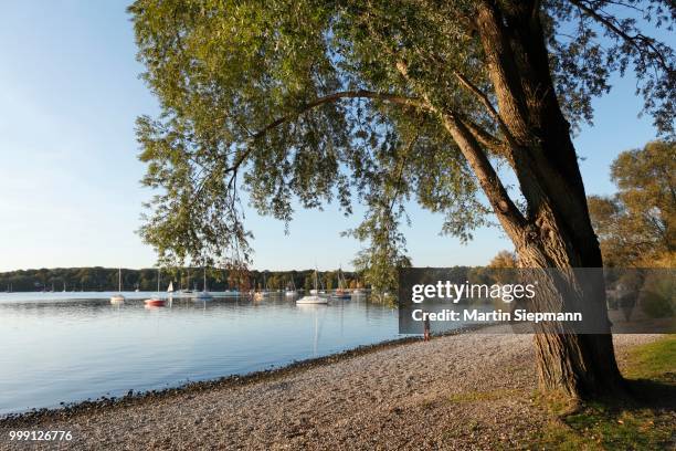 herrsching, ammersee lake or lake ammer, five lakes region, upper bavaria, bavaria, germany, publicground - ammersee stock pictures, royalty-free photos & images