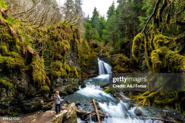 woman looking at rocky waterfall - floresta nacional de chugach imagens e fotografias de stock