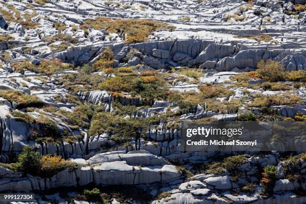 limestone pavements, karst landforms, geology on gamser rugg mountain, toggenburg, canton of st. gallen, switzerland, publicground - st gallen canton bildbanksfoton och bilder