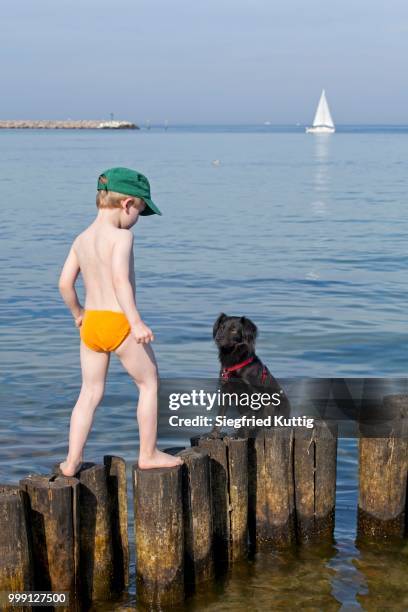 young boy and dog playing on a groyne, kuehlungsborn, mecklenburg-western pomerania, germany - touristical stock pictures, royalty-free photos & images