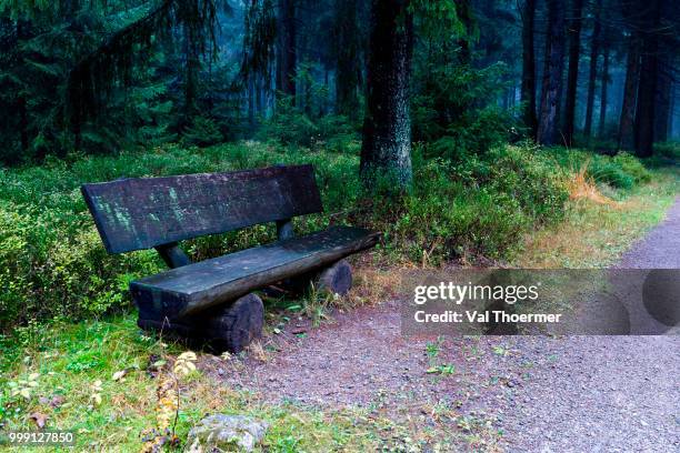 wooden bench, coniferous forest near masserberg, thuringian slate mountains, thuringia, germany - coniferous stock pictures, royalty-free photos & images