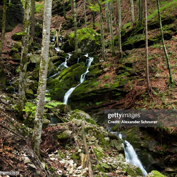 mountain stream in brueeltobel ravine, appenzell innerrhoden or inner rhodes, switzerland, publicground - appenzell innerrhoden stock pictures, royalty-free photos & images