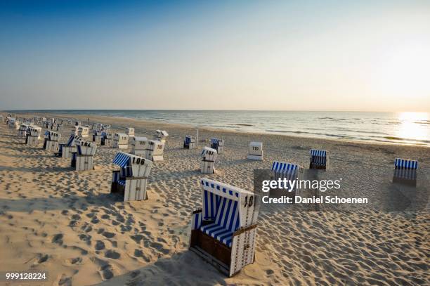 beach chairs on the beach, list, sylt, schleswig-holstein, germany - holstein friesian stockfoto's en -beelden