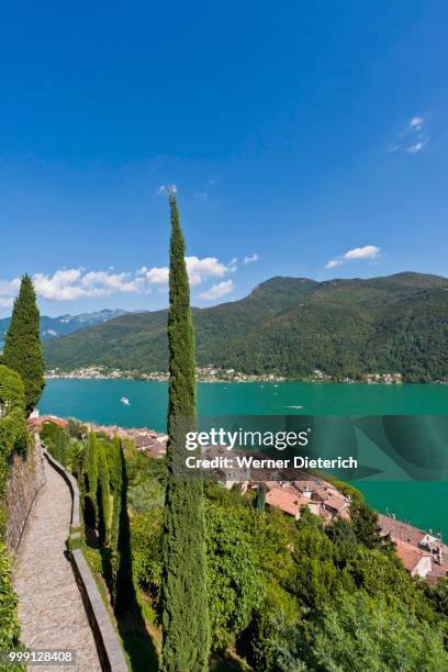 view over morcote towards lake lugano, cypress (cupressus), lago di lugano, ticino, switzerland - werner stock pictures, royalty-free photos & images