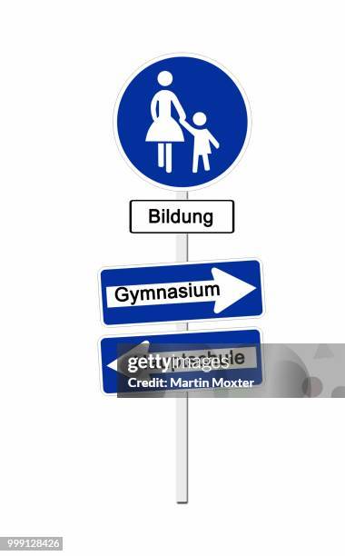 pedestrian zone sign labeled bildung, german for education, and one-way-street signs labeled gymnasium and hauptschule, two forms of german high schools, symbolic image for the parental decision about the future of school children - bildung stock illustrations