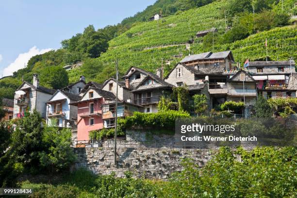 overlooking the village of vogorno, valle verzasca valley, ticino, switzerland - tocino stock-fotos und bilder