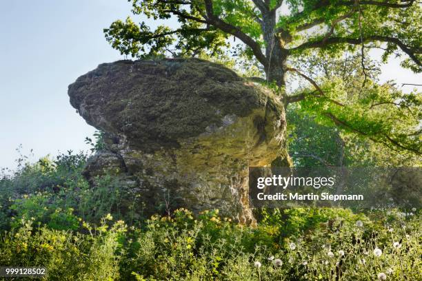 rock on plankenstein mountain near plankenfels, wiesenttal, little switzerland, upper franconia, franconia, bavaria, germany - upper franconia - fotografias e filmes do acervo