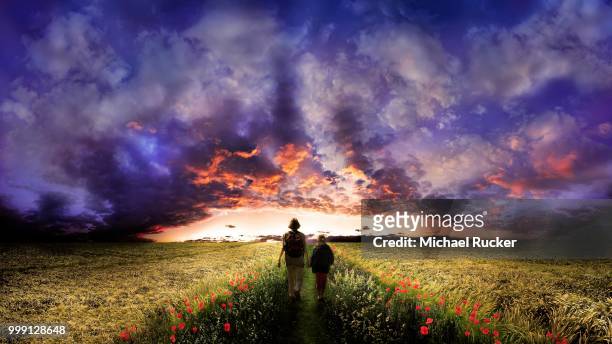 woman and child walking on a path flanked by poppy flowers through the middle of a corn field, sunset with a cloudy sky, adelschlag, bavaria, germany - silhouette contre jour fotografías e imágenes de stock