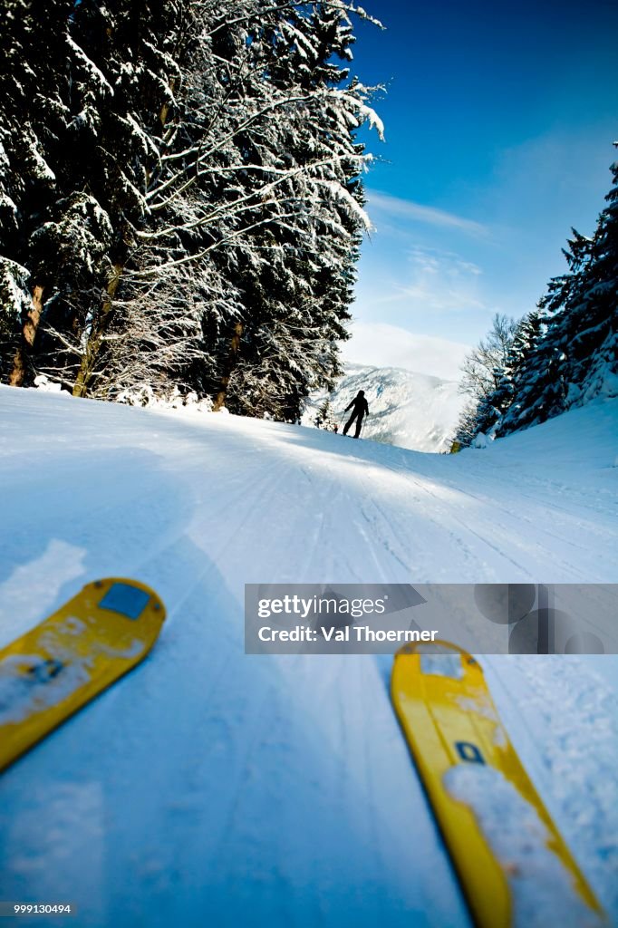 Skis, skiing, Berchtesgadener Land district, Alps, Bavaria, Germany