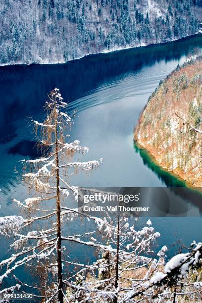 lake koenigssee, view from jenner peak in berchtesgaden, alps, bavaria, germany - berchtesgaden alps stock pictures, royalty-free photos & images