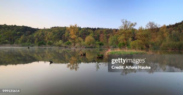 backwaters of the danube, antoniberg, stepperg, bavaria, germany - canal interior imagens e fotografias de stock